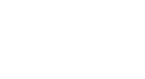 STEPin_Logo-white